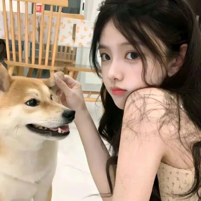 泰山和美人鱼封面